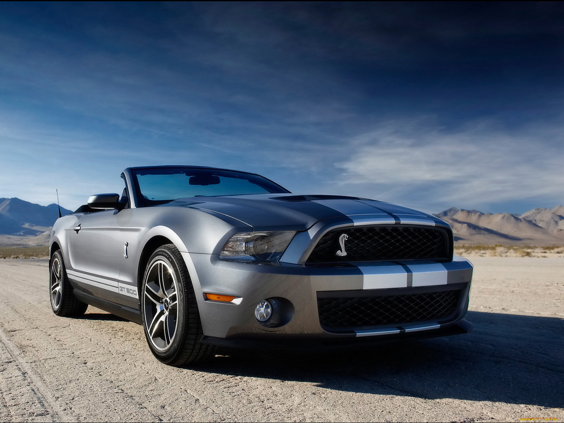 2010, ford, shelby, gt500, 